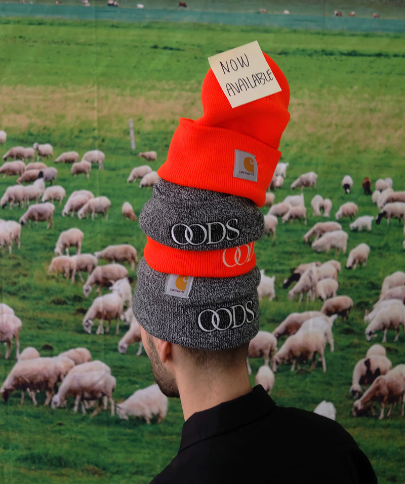 Tuque OODS Carhartt grise
