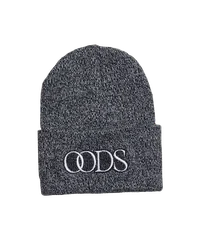 Tuque OODS Carhartt grise